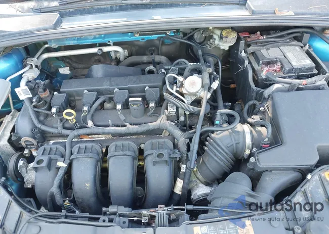 1FADP3F24GL392955: 43176480