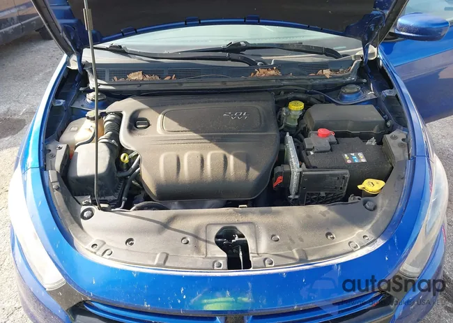 1C3CDFBA1DD181641: 43176481