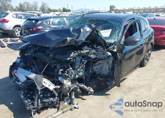 ZASPAKBN3P7D54202: 43176568