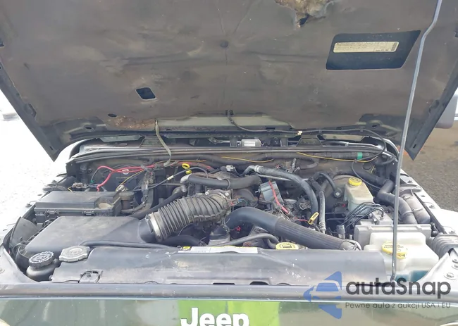 1J4BA3H14AL223401: 43175611