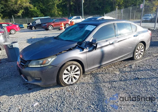 1HGCR3F84FA023593: 43175641