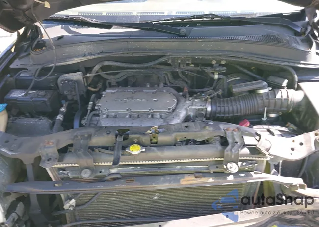 5FNYF18525B032741: 43175941