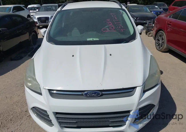 1FMCU0GX7EUA86004: 43177209