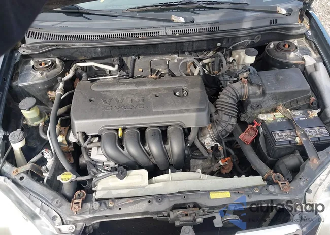 2T1BR32E66C645971: 43177246