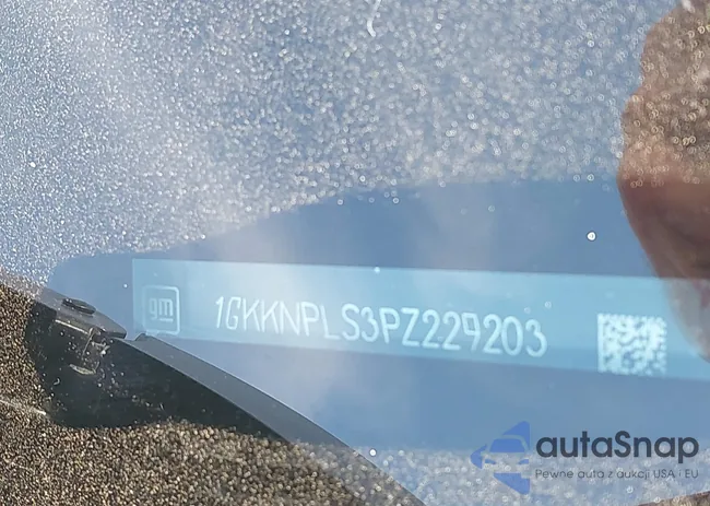 1GKKNPLS3PZ229203: 43177452