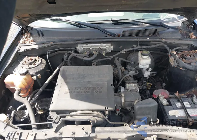 1FMCU9DG9BKB01019: 43177501