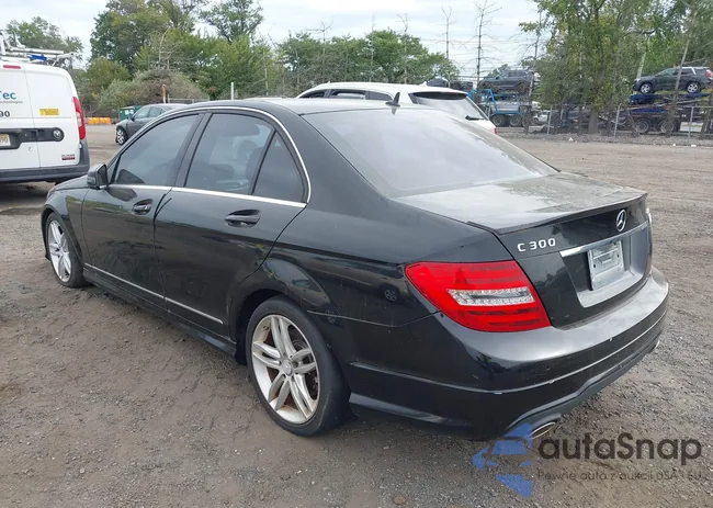 WDDGF8AB4DR276989: 43176906