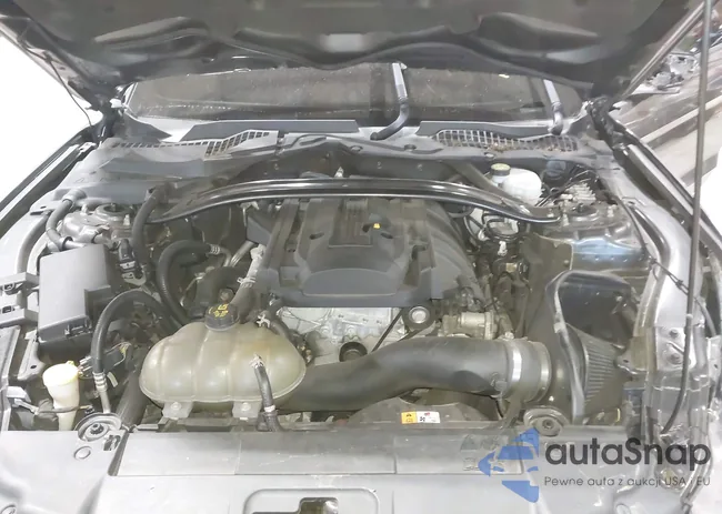 1FA6P8TH3J5127941: 43178509