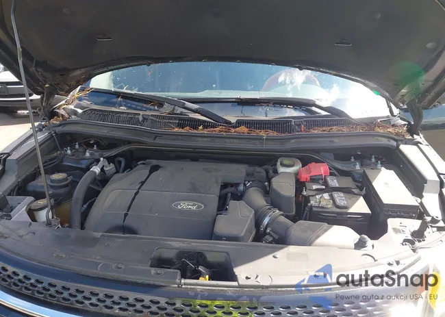 1FM5K7F88DGC89529: 43177770