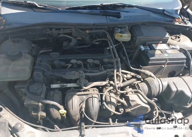 1FAFP34N56W215625: 43178869