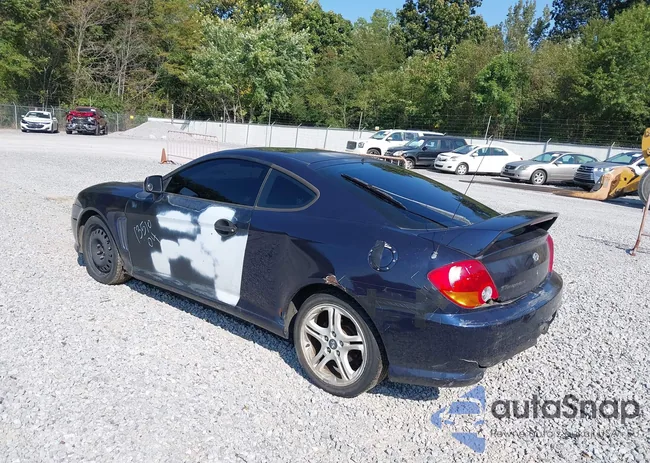 KMHHN65F24U115441: 43181385