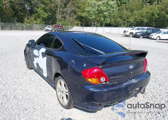 KMHHN65F24U115441: 43181385