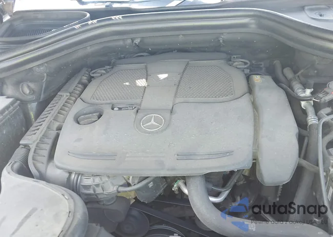 4JGDA5HB7DA162396: 43182117