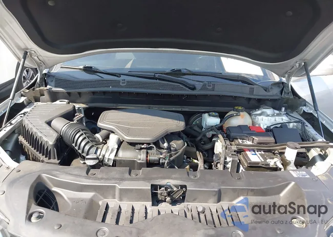 3GNKBERS7MS560821: 43182233