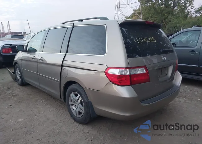 5FNRL38717B422324: 43182383