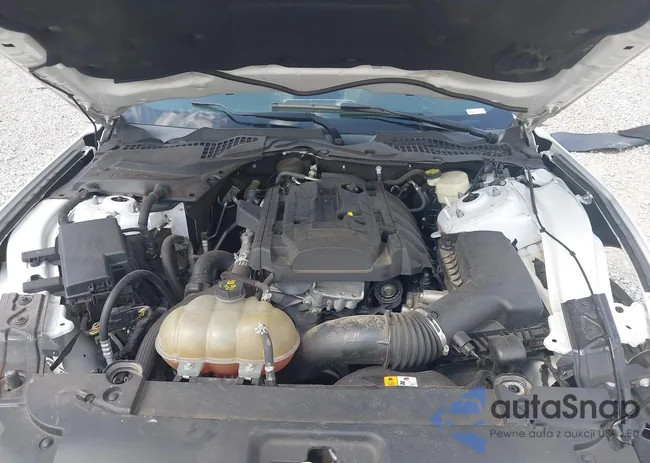 1FA6P8THXG5292426: 43181587