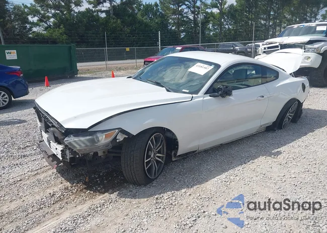 1FA6P8THXG5292426: 43181587