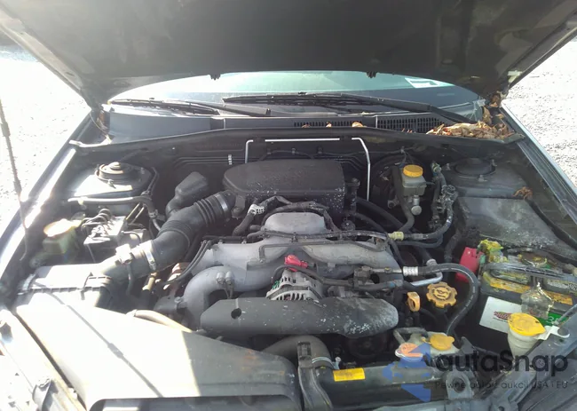 4S4BP61C397339898: 43181642