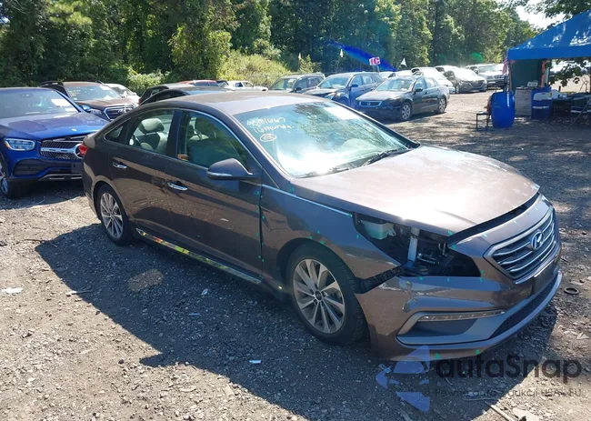 5NPE34AF8GH421632: 43181667