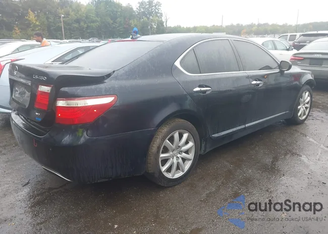 JTHCL46F695003443: 43181939