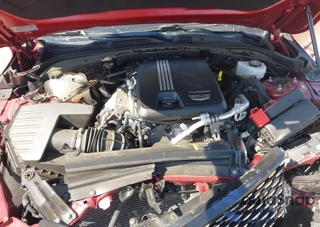 1G6DB5RK0R0131751: 43183150