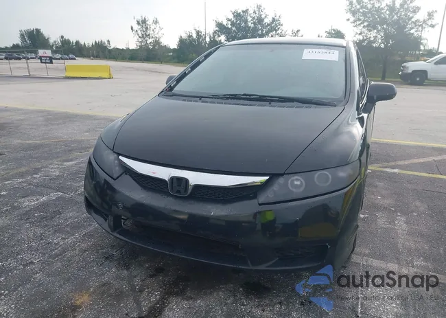 19XFA1F6XAE066072: 43182844