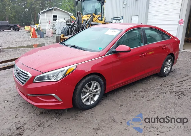 5NPE24AF2HH517583: 43182851