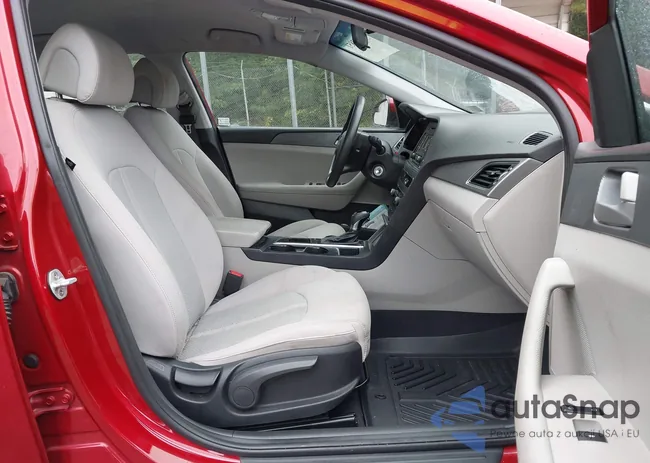 5NPE24AF2HH517583: 43182851