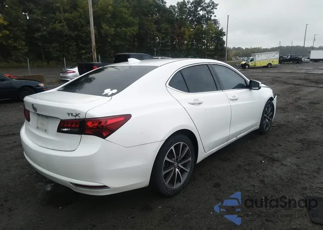 19UUB2F37HA006541: 43182876