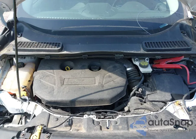 1FMCU9G9XFUA04838: 43182889