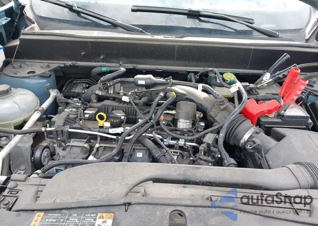 3FTTW8F9XNRA91382: 43182891