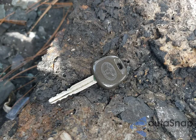 JTDBU4EEXBJ100855: 43184110