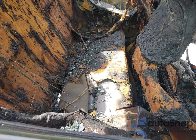 JTDBU4EEXBJ100855: 43184110