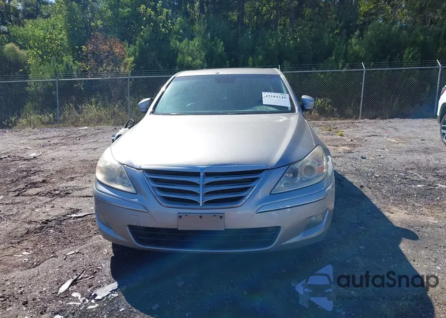 KMHGC46E19U022056: 43184242