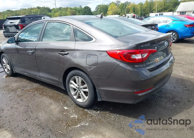 5NPE24AF8GH403764: 43183964