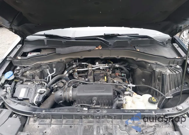 1FMSK8DH4NGB68185: 43185115