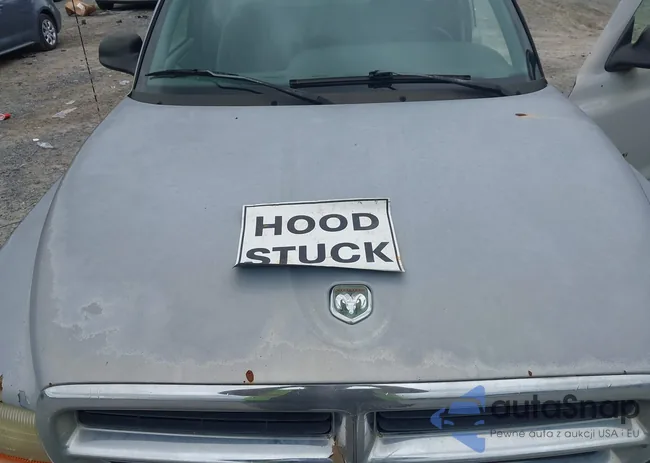 1B7GL22X2WS677463: 43185225