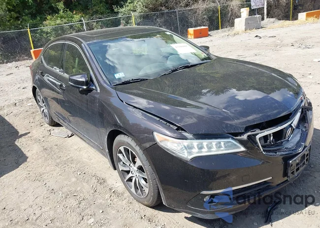 19UUB1F56FA009696: 43186005