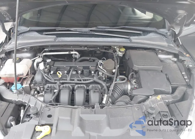 1FADP3K22FL315876: 43186036