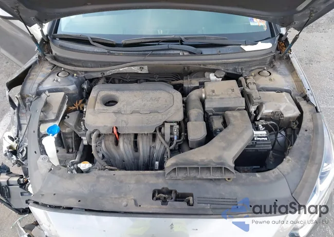 5NPE24AF8KH744686: 43187235