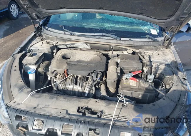 5NPE24AF3KH807063: 43187259