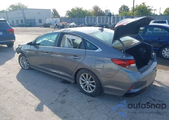 5NPE24AF3KH807063: 43187259