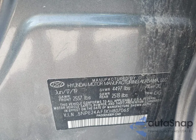 5NPE24AF3KH807063: 43187259