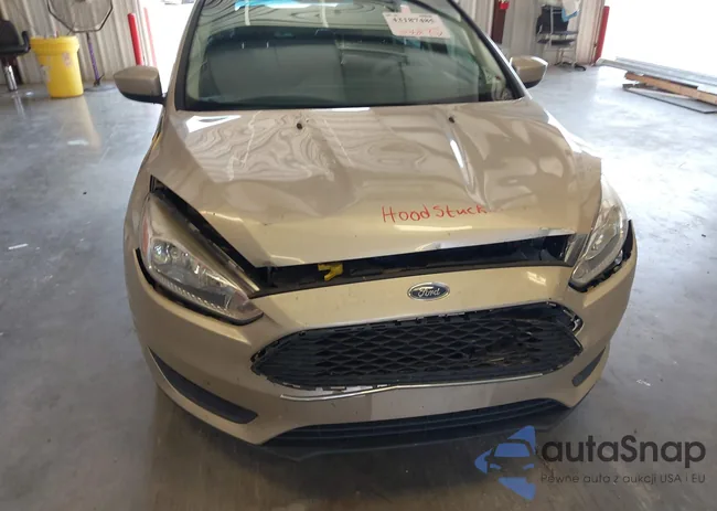 1FADP3K20JL262412: 43187485