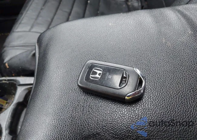 5J6RT6H56NL040004: 43186705