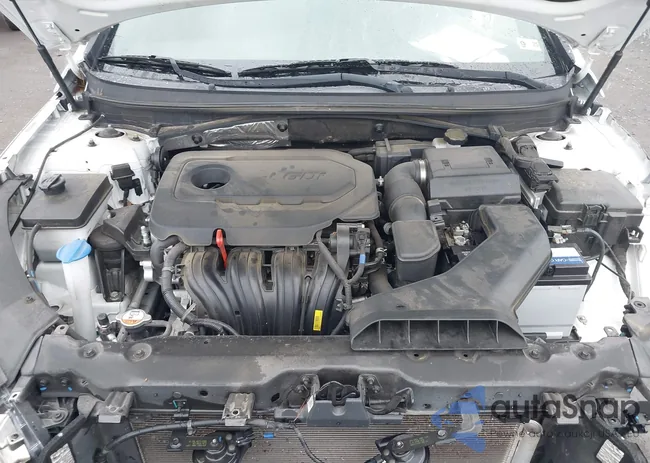 5NPE34AF2JH635863: 43186791