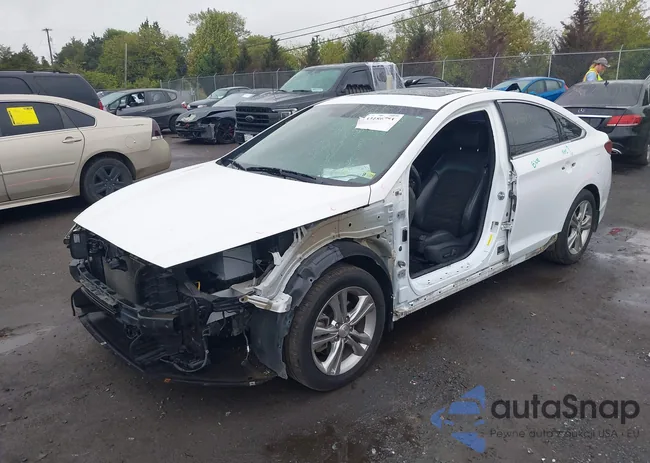 5NPE34AF2JH635863: 43186791