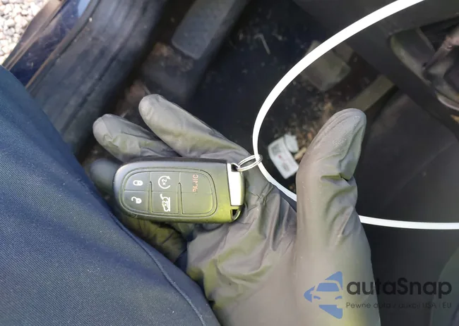 1C4PJLDS4EW301500: 43186815