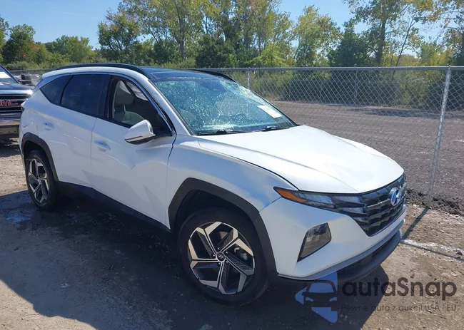 KM8JCCD14RU141039: 43186956