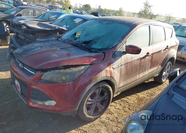 1FMCU9GX0EUC43389: 43186979